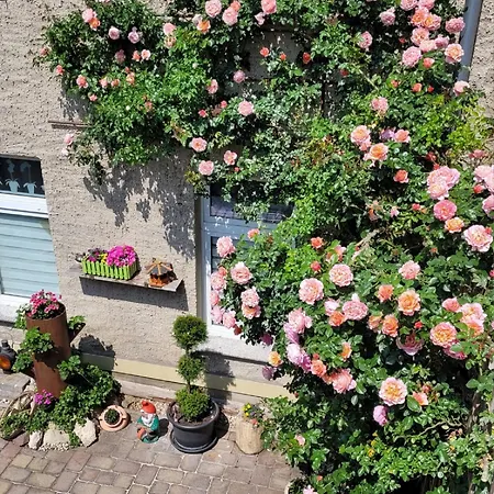 Ferienwohnung Domblick Naumburg  Buitenkant foto