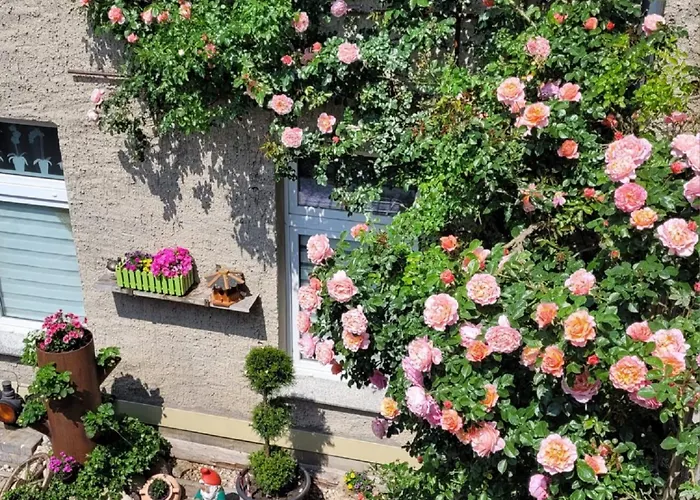 Ferienwohnung Domblick
