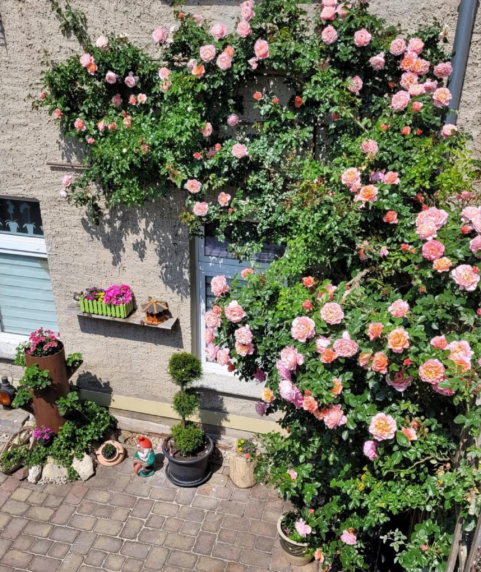 Apartment Domblick *